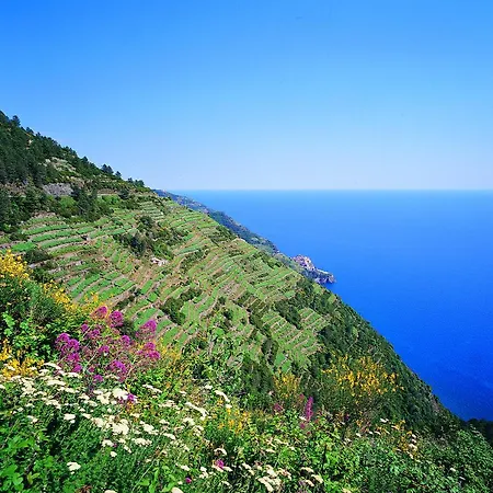Finestra Tra Cielo E Mare Apartamento Luni